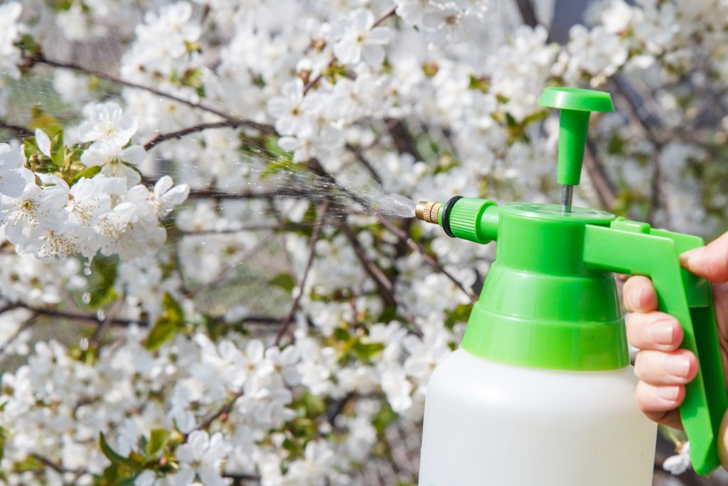 farmer is sprinkling water solution on branches of 2026 01 11 09 25 44 utc