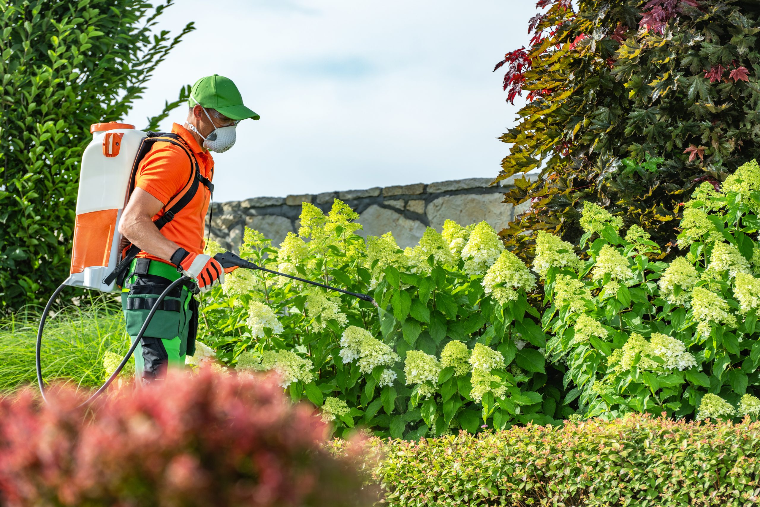 Spring Pest Control in Roanoke, VA | Stop Infestations Before They Start