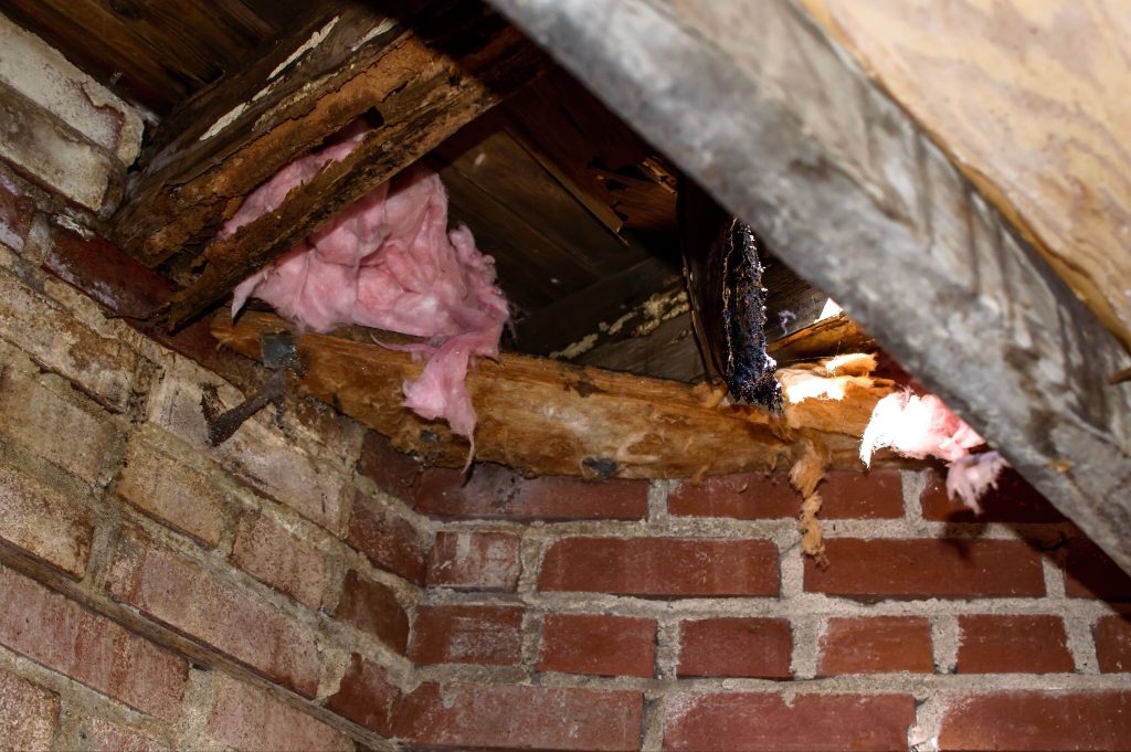 Household pests thrive in a damp environment --moisture control Roanoke VA