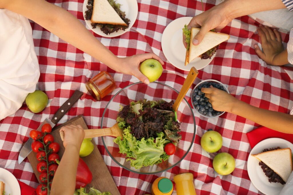 A summer picnic is safe from pests with ant control in Roanoke, VA.